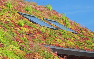 Minety living roof systems
