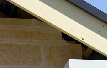 soffit repair Minety